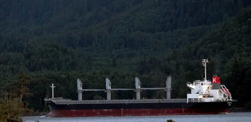 APOGEE SPIRIT Bulk Carrier IMO 9561875 photo 8