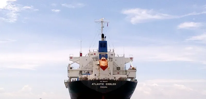 BC GRACE Bulk Carrier IMO 9561887 photo 4