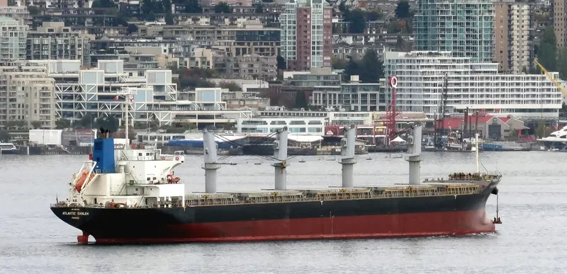 BC GRACE Bulk Carrier IMO 9561887 photo 7