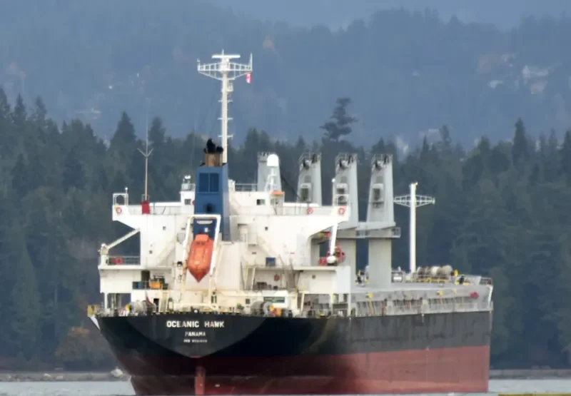 OCEANIC ISLAND Bulk Carrier IMO 9561899 photo 2