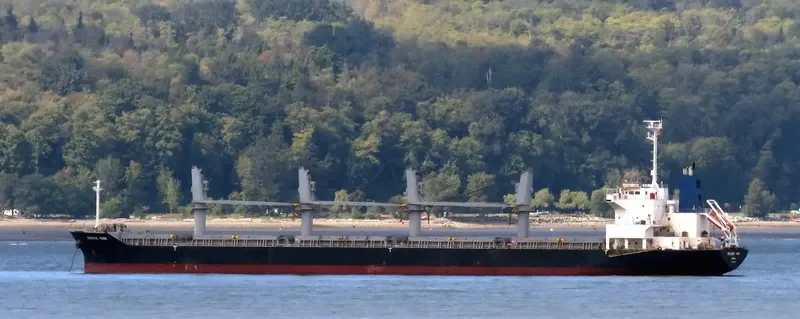 OCEANIC ISLAND Bulk Carrier IMO 9561899 photo 6