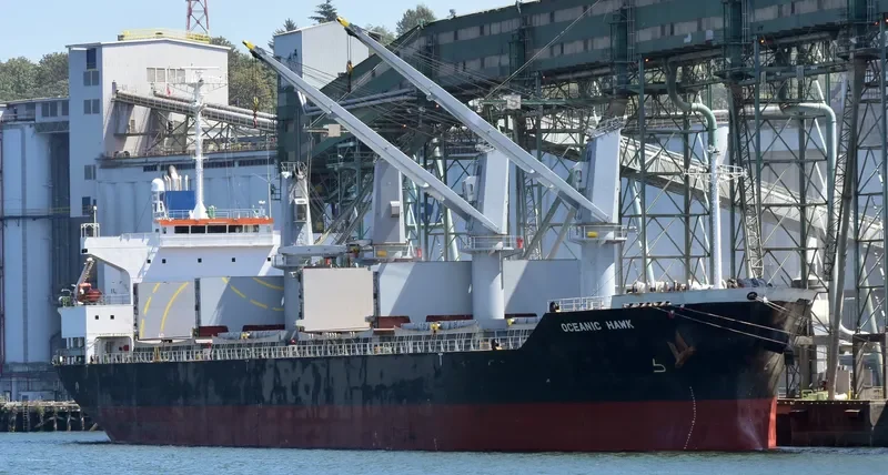 OCEANIC ISLAND Bulk Carrier IMO 9561899 photo 8