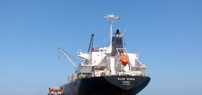 ALAM SURIA Bulk Carrier IMO 9561916 photo 3