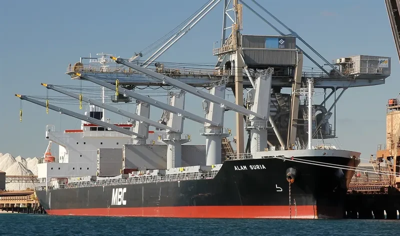 ALAM SURIA Bulk Carrier IMO 9561916 photo 8