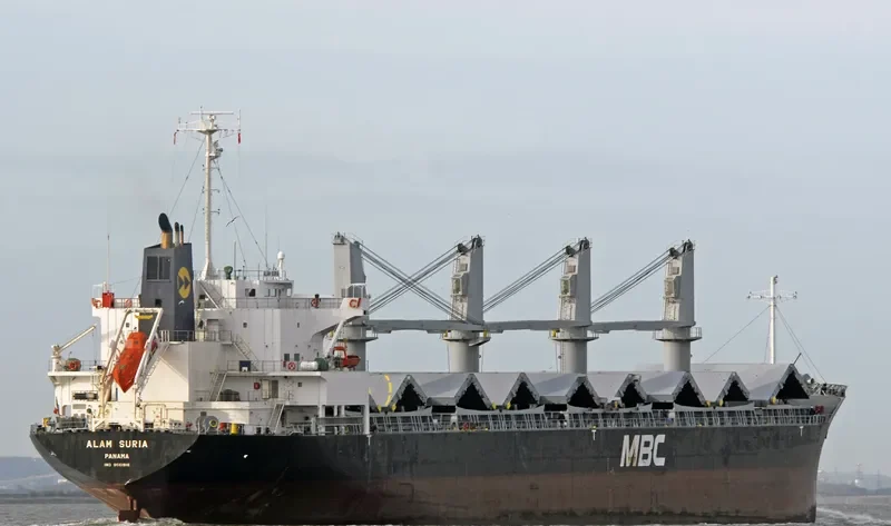 ALAM SURIA Bulk Carrier IMO 9561916 photo 10