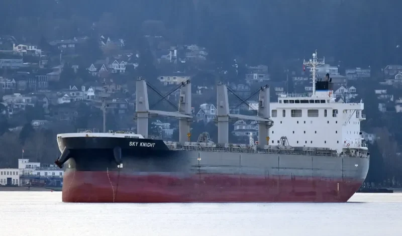 SKY KNIGHT Bulk Carrier IMO 9561942 photo 5