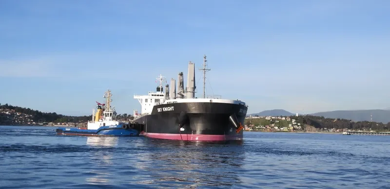 SKY KNIGHT Bulk Carrier IMO 9561942 photo 8