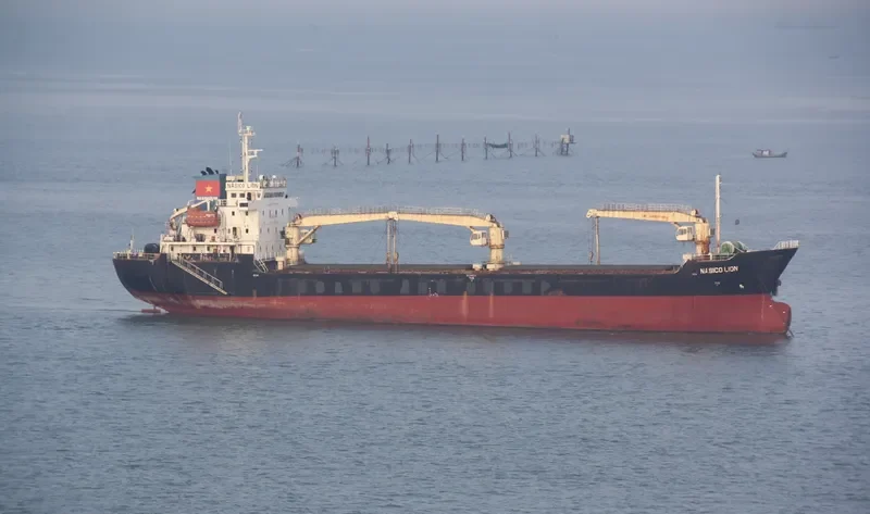 MINH HUY 19 Bulk Carrier IMO 9561978