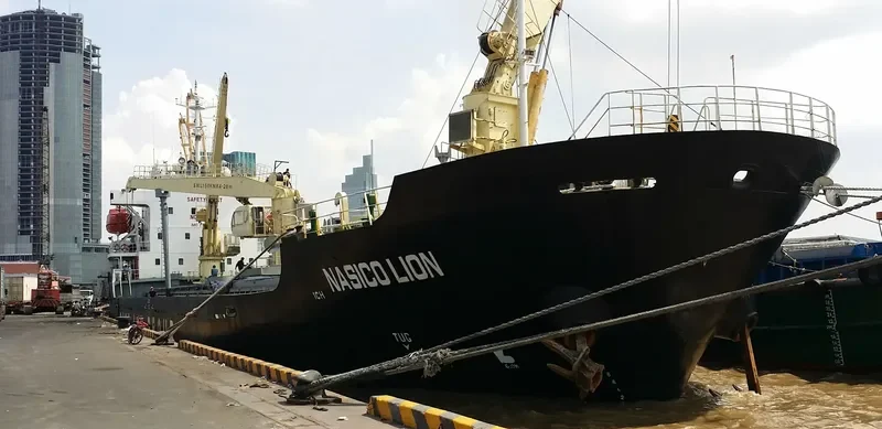 MINH HUY 19 Bulk Carrier IMO 9561978 photo 2