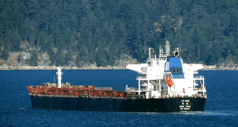 JIN HANG Bulk Carrier IMO 9562049 photo 2