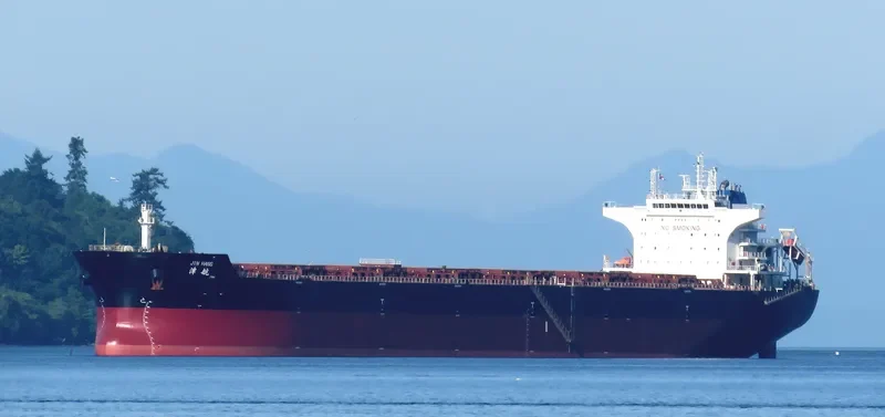 JIN HANG Bulk Carrier IMO 9562049 photo 6