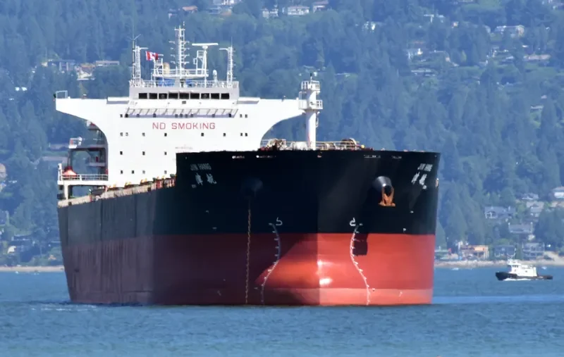 JIN HANG Bulk Carrier IMO 9562049 photo 8
