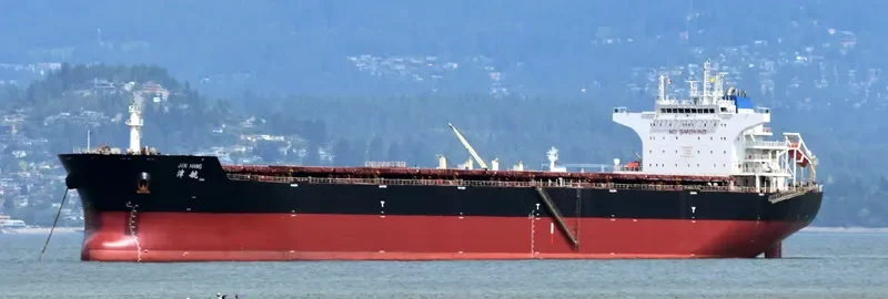 JIN HANG Bulk Carrier IMO 9562049 photo 9
