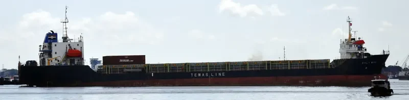 KALI MAS Container Ship IMO 9562051 photo 2