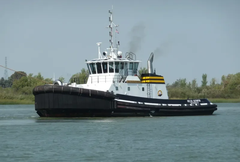 DELTA CATHRYN General Cargo IMO 9562219 photo 10