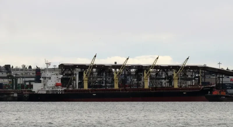 EOS ESPERANCE Bulk Carrier IMO 9562453 photo 2