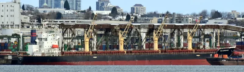 EOS ESPERANCE Bulk Carrier IMO 9562453 photo 3