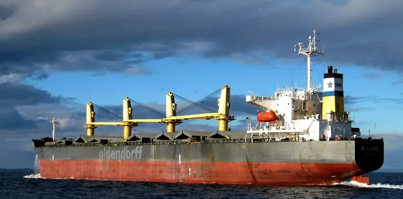 YOZAN Bulk Carrier IMO 9562491 photo 8