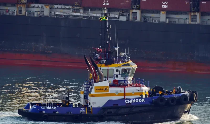 CHINOOK General Cargo IMO 9562556