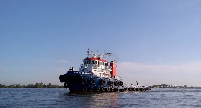BOMAS SEDAYU General Cargo IMO 9562946 photo 7
