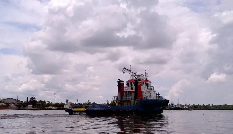 BOMAS SEDAYU General Cargo IMO 9562946 photo 8