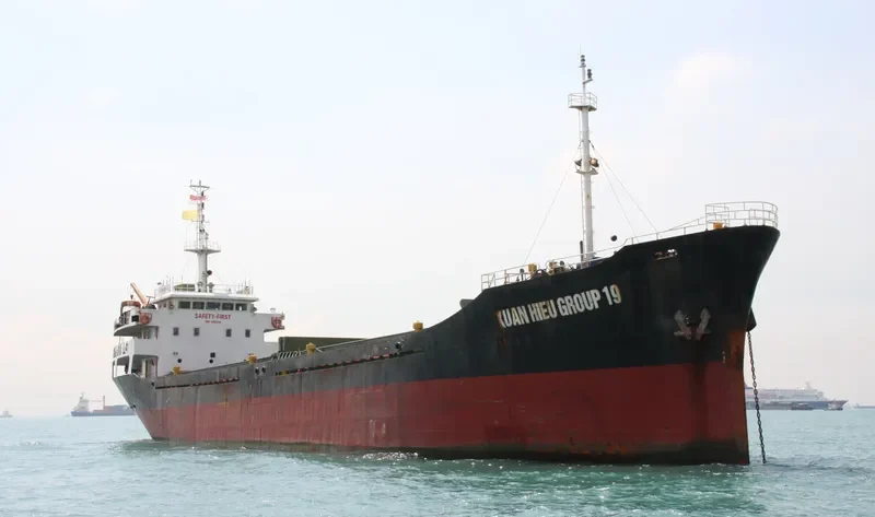XUAN HIEU GROUP 286 Bulk Carrier IMO 9563316