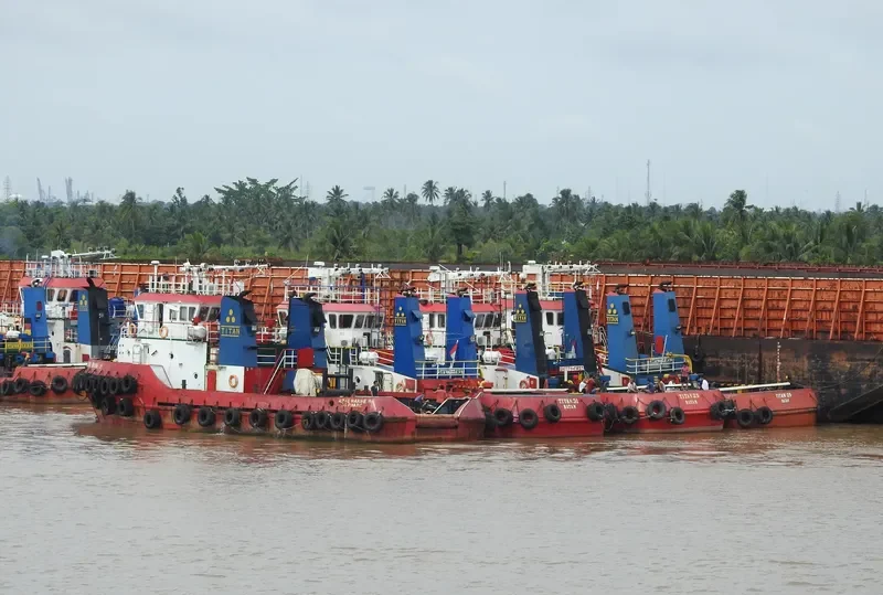 ALPINE MARINE 19 General Cargo IMO 9563330 photo 4