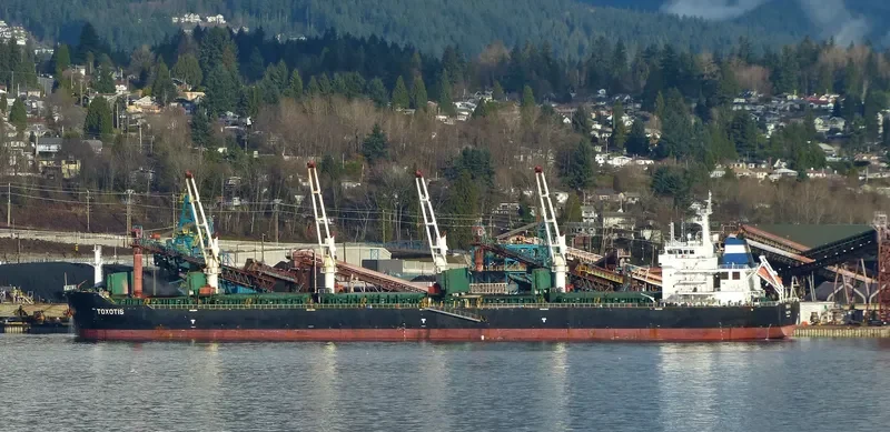 TOXOTIS Bulk Carrier IMO 9563419 photo 5
