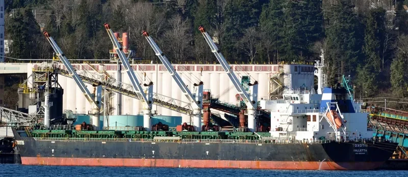 TOXOTIS Bulk Carrier IMO 9563419 photo 7