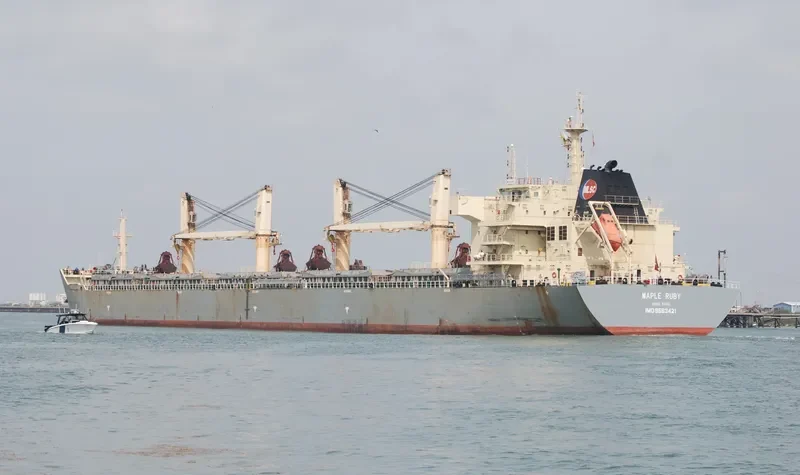 XIN TUO Bulk Carrier IMO 9563421