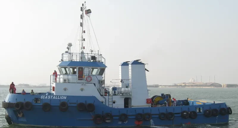 SEA STALLION General Cargo IMO 9563433 photo 2