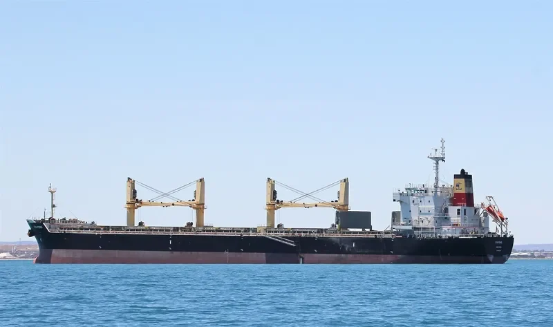 BAO FENG Bulk Carrier IMO 9563536 photo 2
