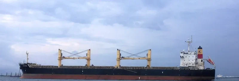 BAO FENG Bulk Carrier IMO 9563536 photo 5