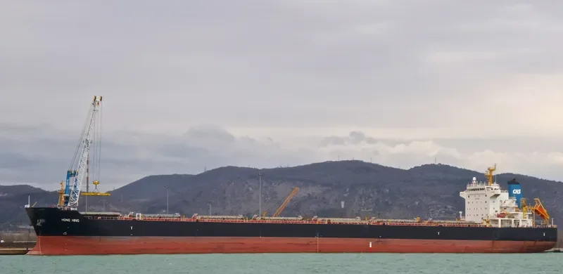 HONG HING Bulk Carrier IMO 9563615 photo 2