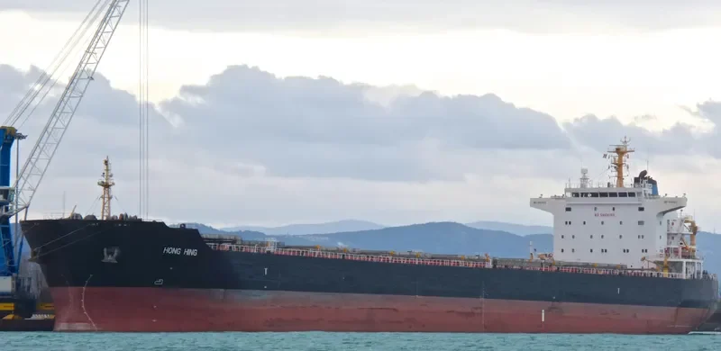 HONG HING Bulk Carrier IMO 9563615 photo 3