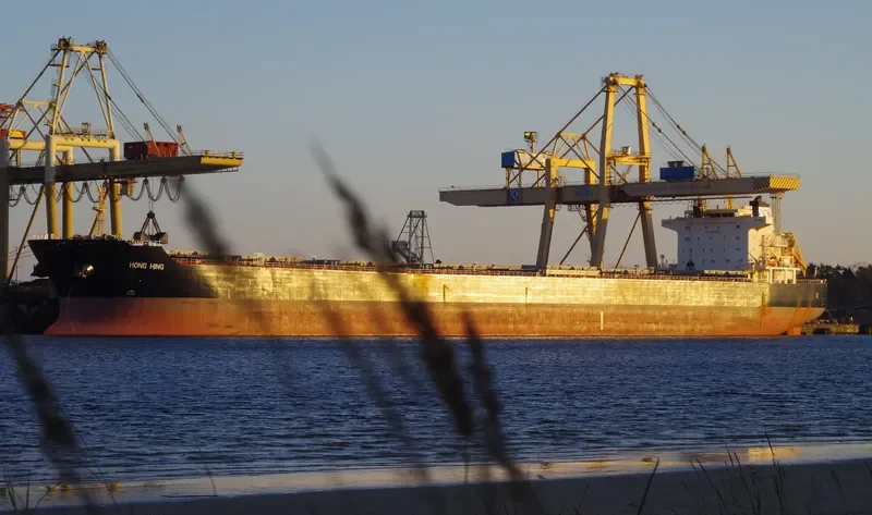 HONG HING Bulk Carrier IMO 9563615 photo 5