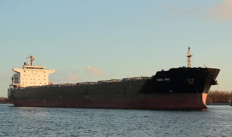 HONG HING Bulk Carrier IMO 9563615 photo 9