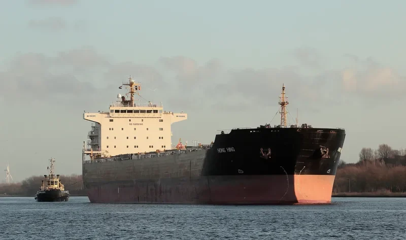 HONG HING Bulk Carrier IMO 9563615 photo 10