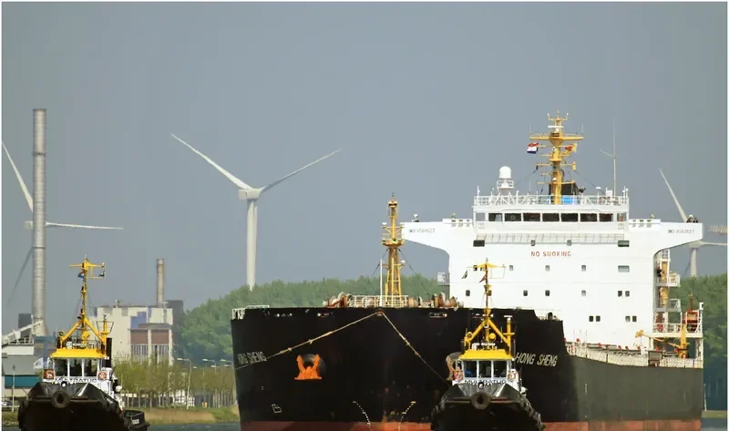HONG SHENG Bulk Carrier IMO 9563627 photo 2