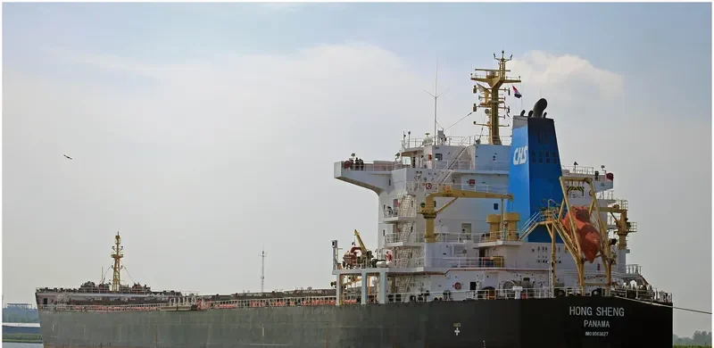 HONG SHENG Bulk Carrier IMO 9563627 photo 3