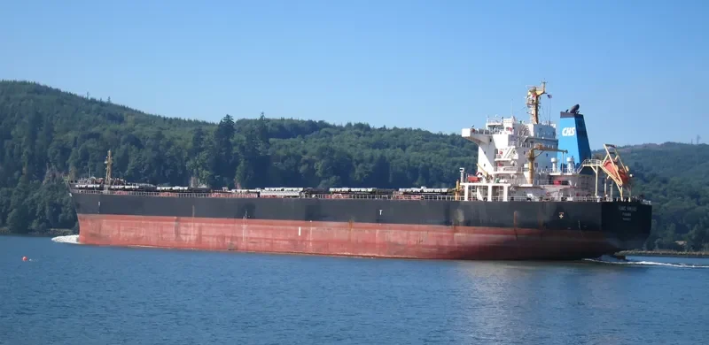 HONG SHENG Bulk Carrier IMO 9563627 photo 9