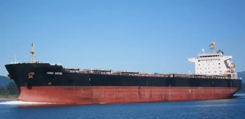 HONG SHENG Bulk Carrier IMO 9563627 photo 10