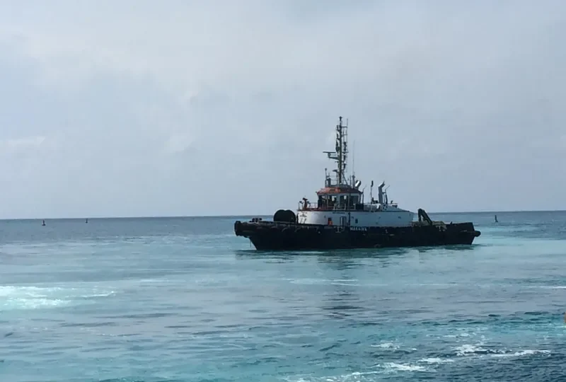 RESOLVE HERCULES General Cargo IMO 9563641 photo 2