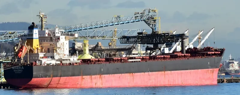 MAERA Bulk Carrier IMO 9563677 photo 3