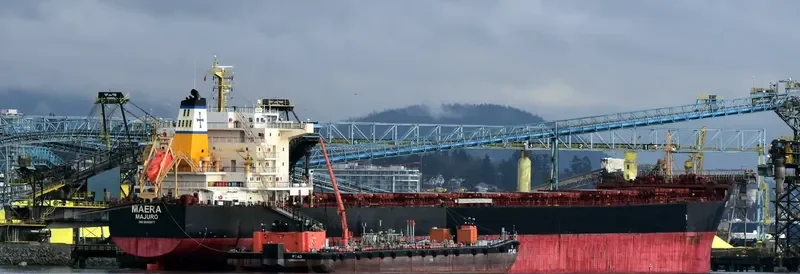 MAERA Bulk Carrier IMO 9563677 photo 4