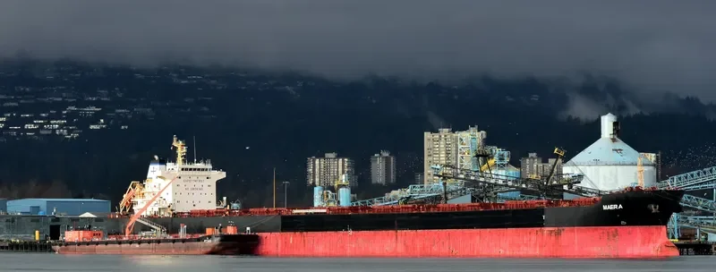 MAERA Bulk Carrier IMO 9563677 photo 5