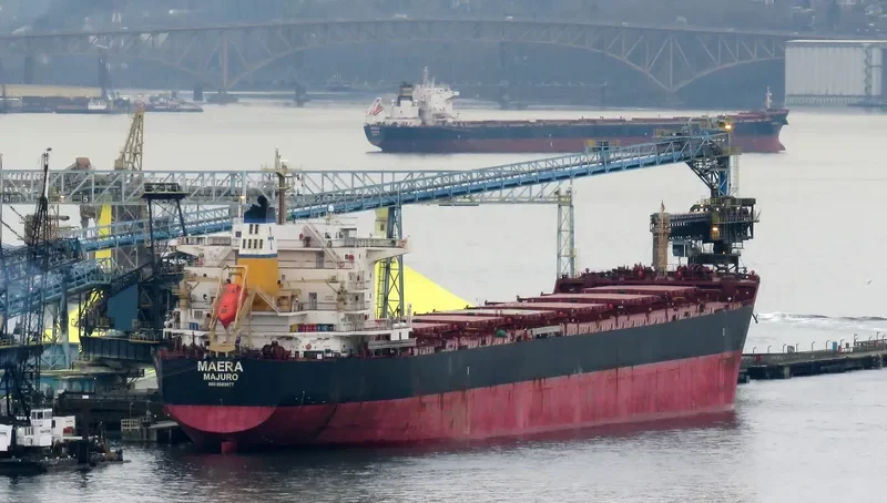 MAERA Bulk Carrier IMO 9563677 photo 6