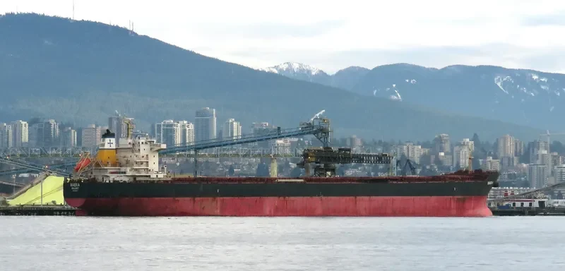 MAERA Bulk Carrier IMO 9563677 photo 7