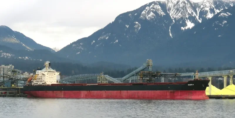 MAERA Bulk Carrier IMO 9563677 photo 8