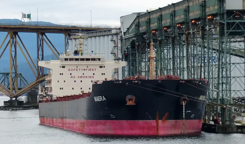 MAERA Bulk Carrier IMO 9563677 photo 9